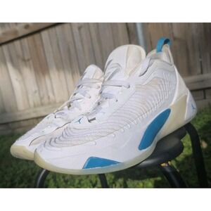 Air Jordan Basketball Shoe Men's White/Blue Used